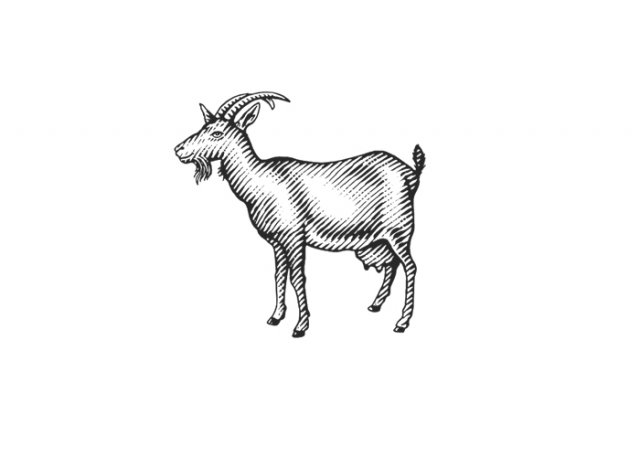 Goat-art