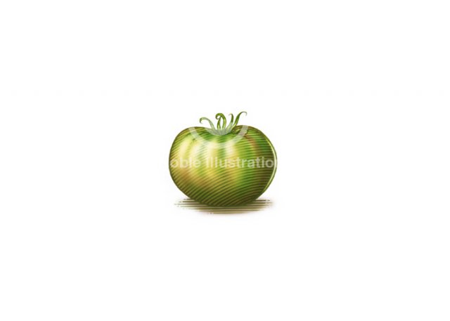 Green-tomato