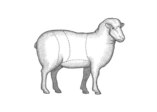 Lamb-1