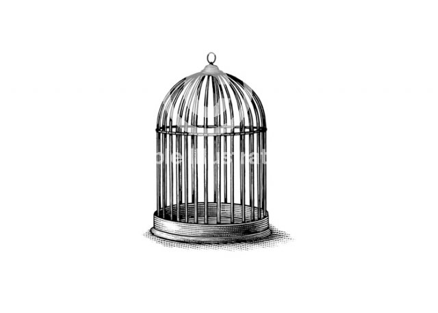 Rev-Bird-Cage-art