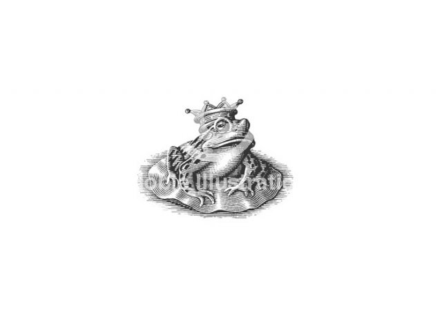 frog_prince-stock