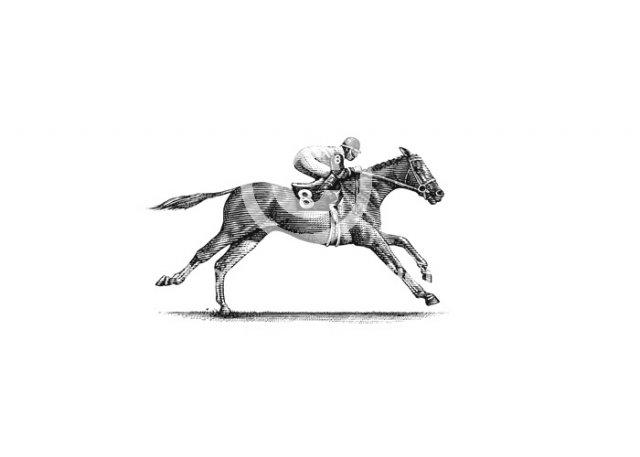 horse-jockey