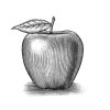 apple-woodcut-2