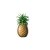pineapple-2