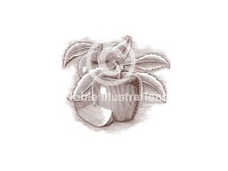 apples-2