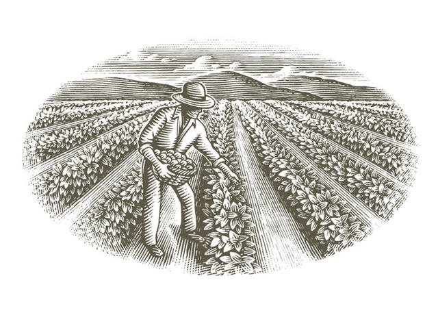 Agriculture-Art