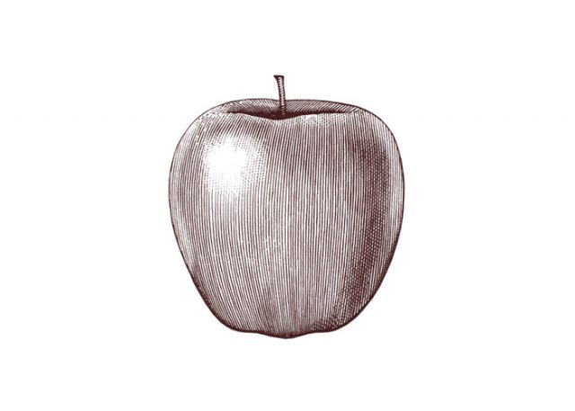 Apple-Art-2