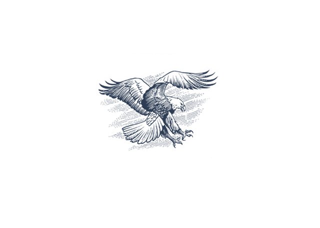 Eagle-Icon-1