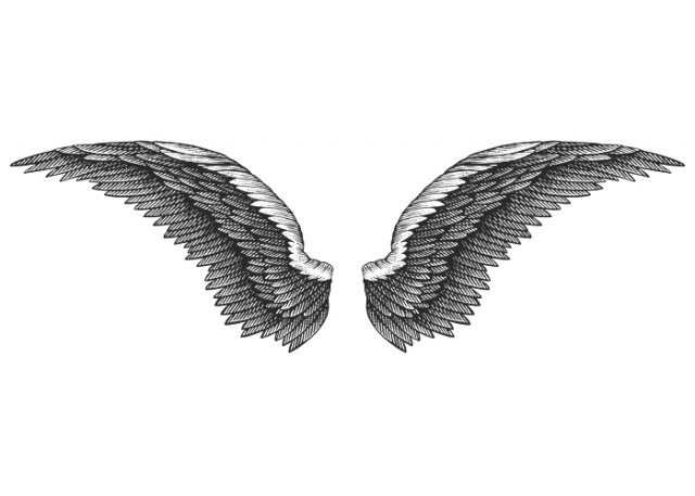 Eagle-Wings-2