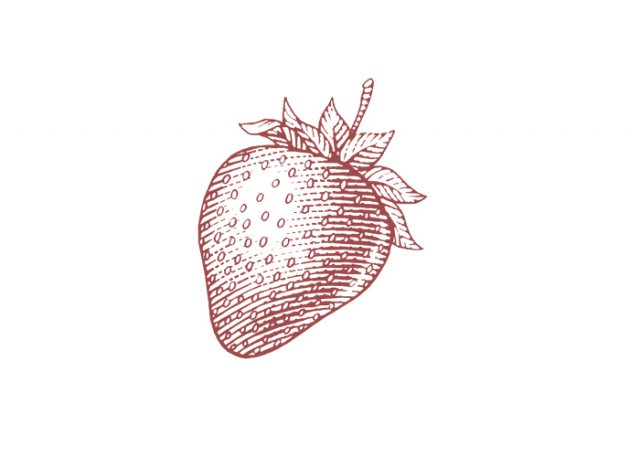 Strawberry-woodcut
