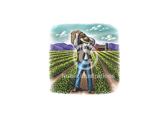 farmer-with-basket