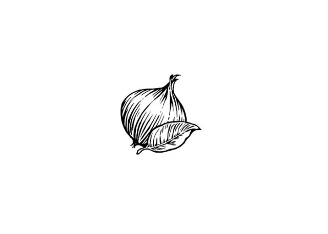 onion-sage-art