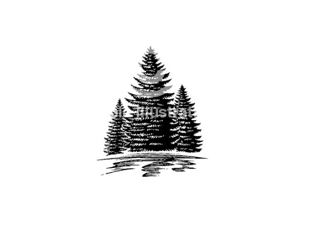 pine-trees-comp