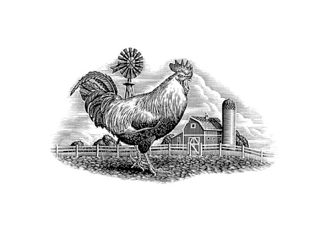 rooster-woodcut