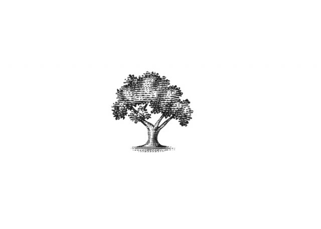 tree-3