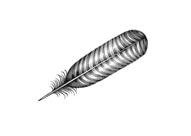 turkey-feather