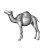 Camel-Art