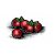 Cranberries-1