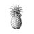 revised-pineapple-art-copy