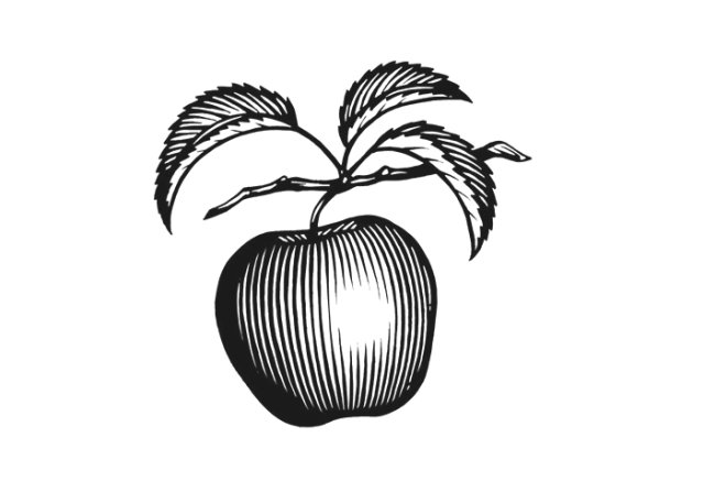 apple-woodcut-3