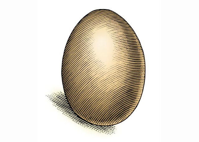 egg