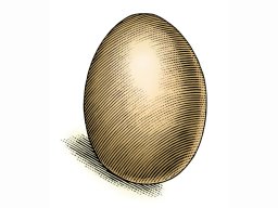 egg