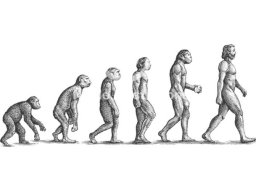 evolution