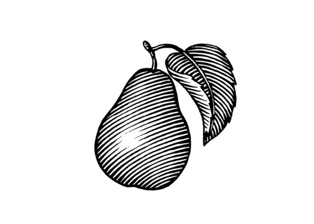 pear-icon
