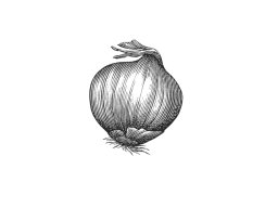 Onion