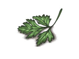 Parsley