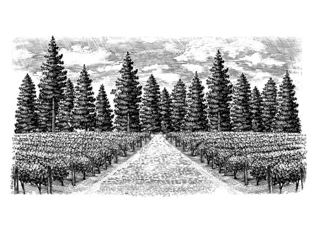 vineyards-art-stock